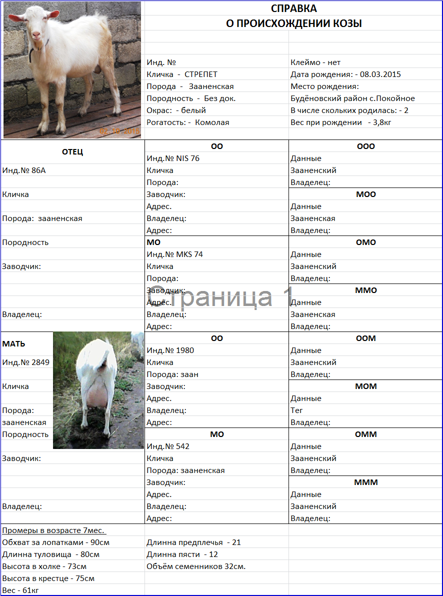 Вес козлят по месяцам таблица Просмотр темы - ЛПХ Гуляевых Краснодарский край